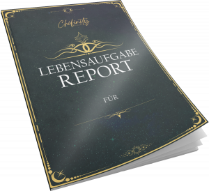 lebensaufgabe report